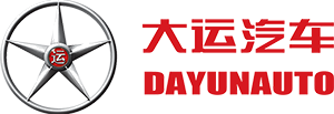 大运 DAYUN
